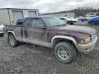 2004 DODGE Dakota