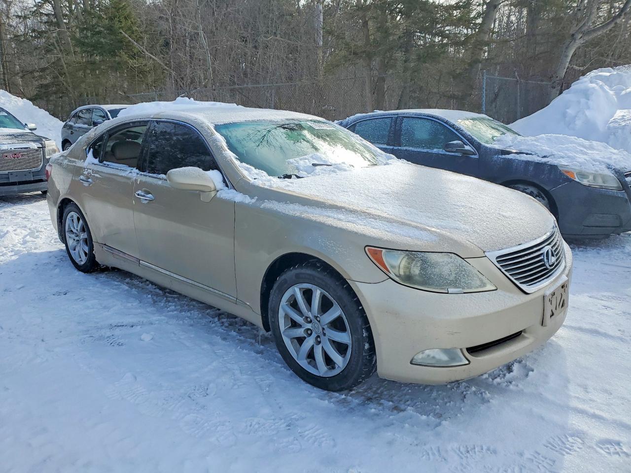 2007 LEXUS LS 460