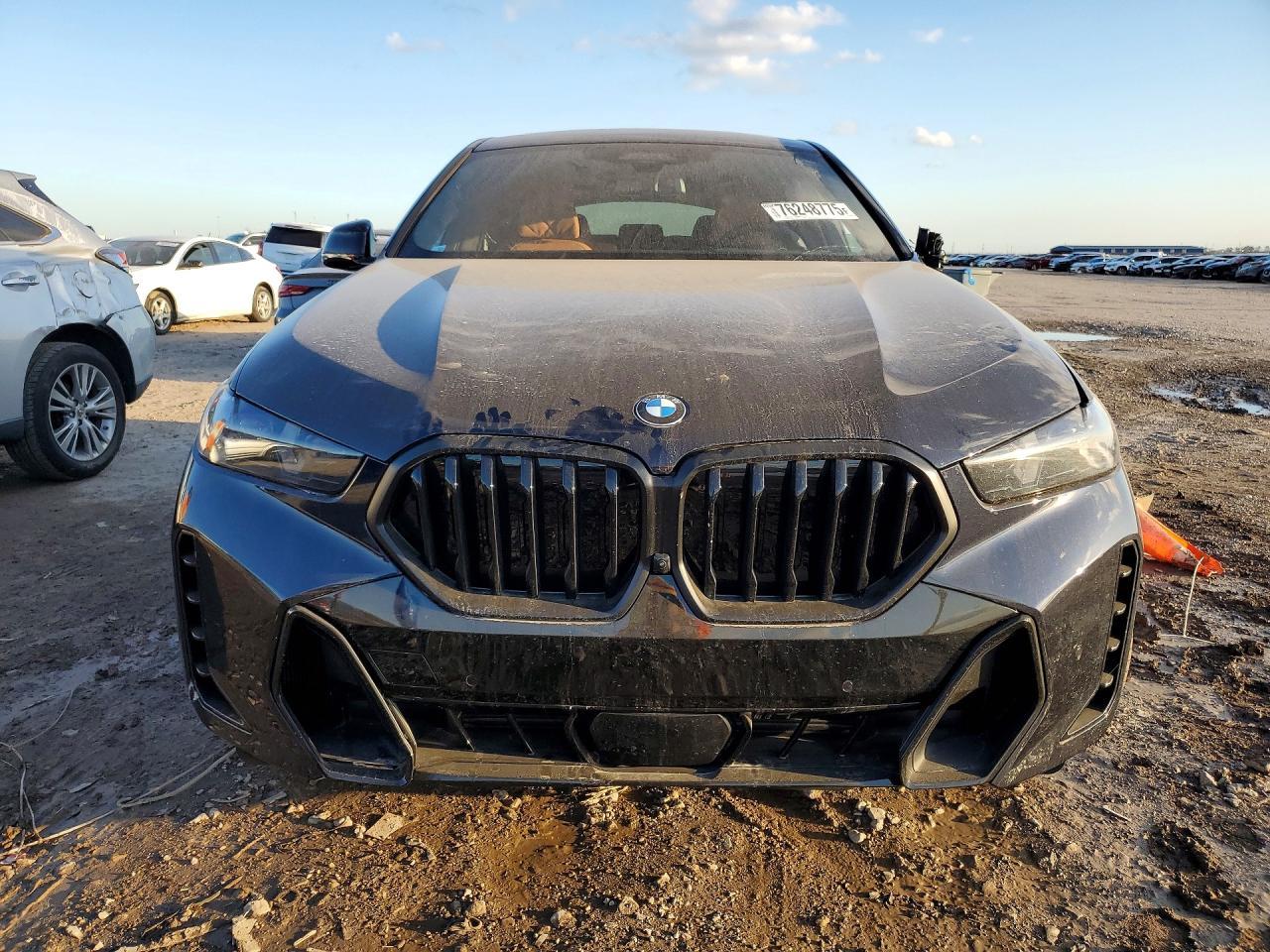 2026 BMW X6