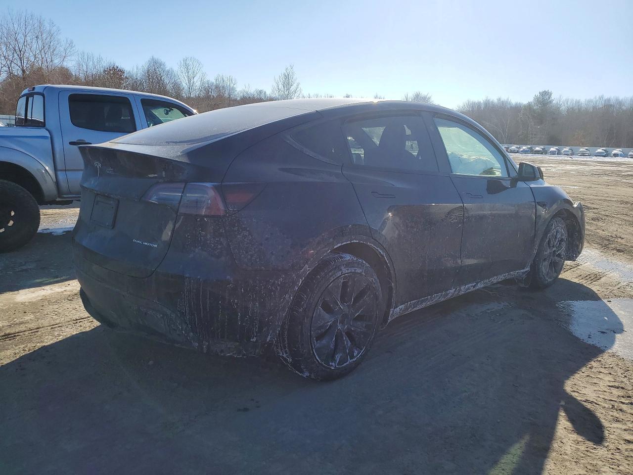 2025 TESLA MODEL Y