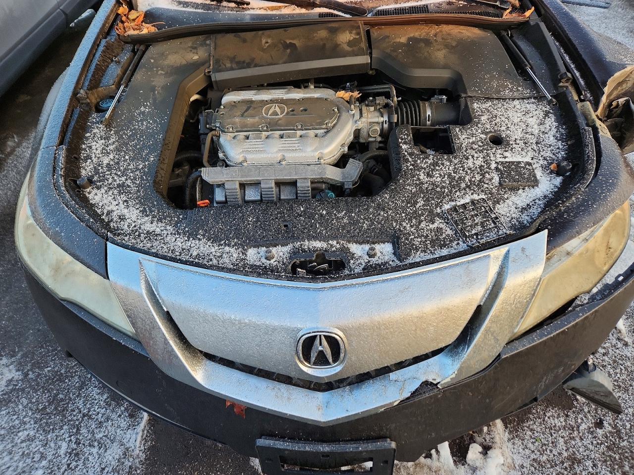 2010 ACURA TL
