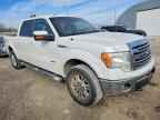 2013 FORD F-150 Lightning