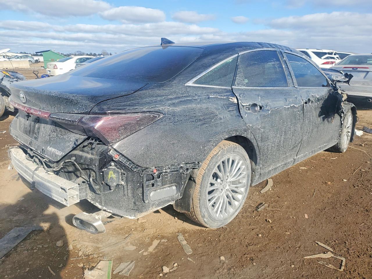 2019 TOYOTA Avalon