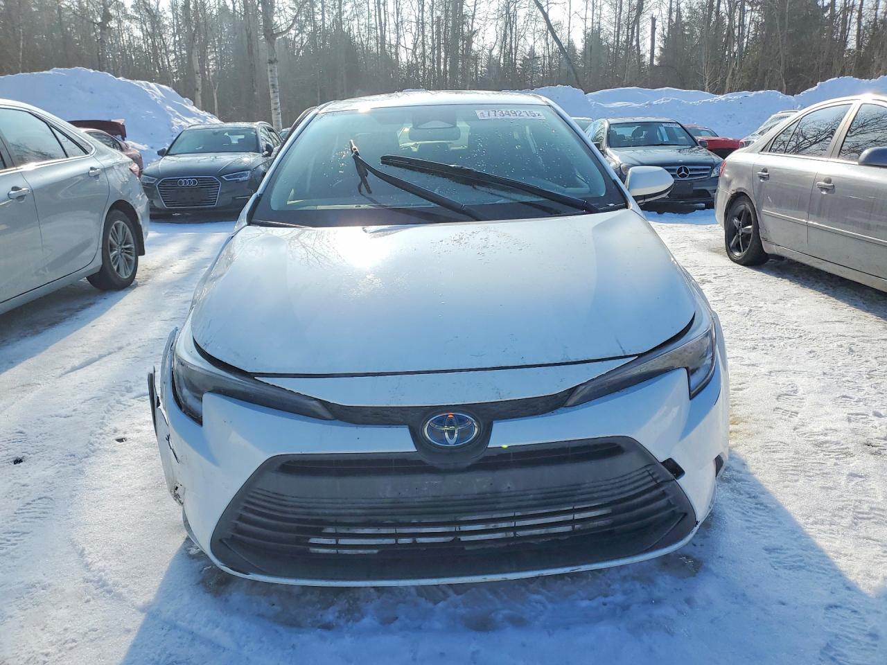 2024 TOYOTA COROLLA