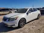 2010 HONDA ACCORD
