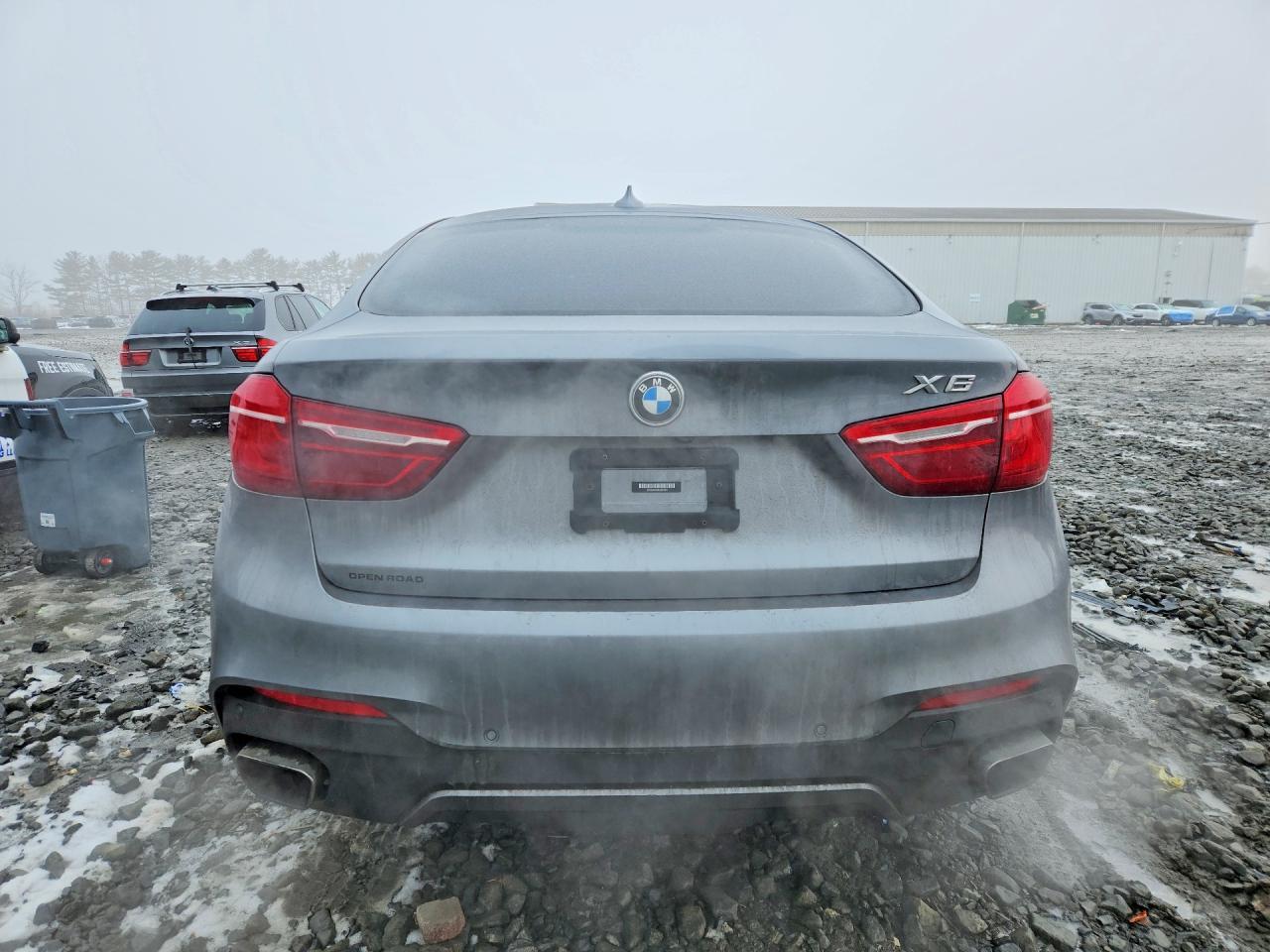 2019 BMW X6