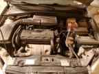 2004 SUZUKI Forenza