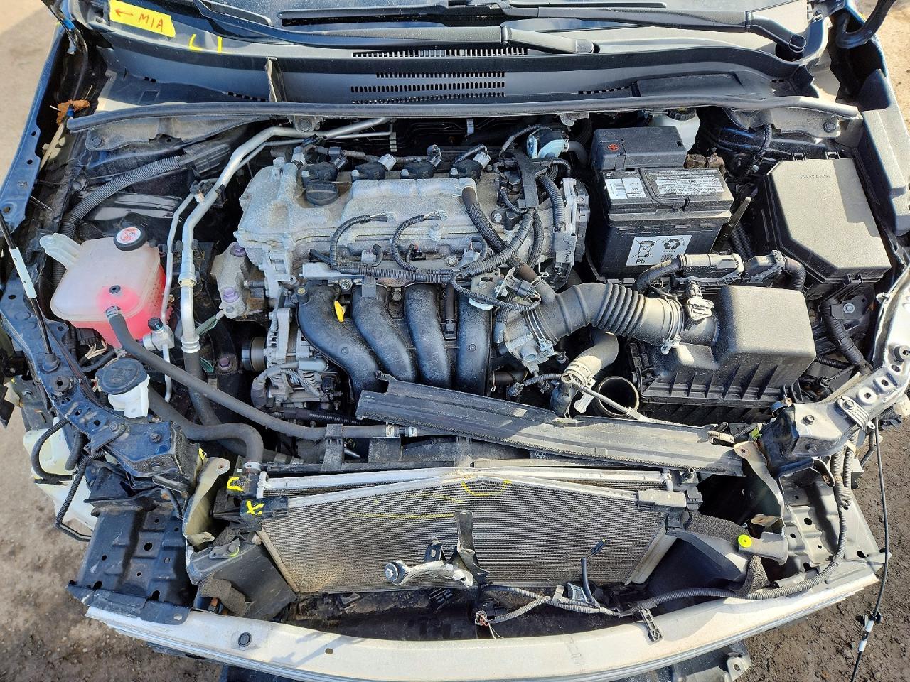 2021 TOYOTA COROLLA