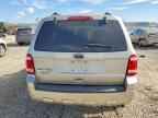 2010 FORD ESCAPE