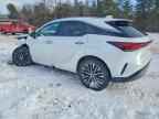 2025 LEXUS RX 350