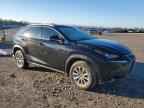2021 LEXUS NX 300