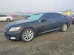 2007 LEXUS LS 460