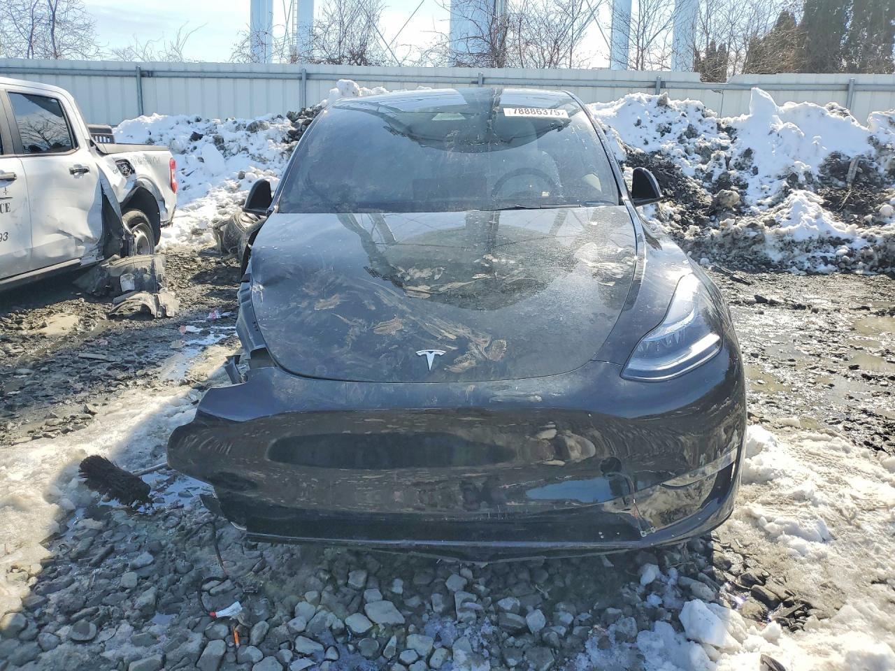 2025 TESLA MODEL Y