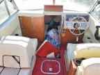 1984 LARSON Boat