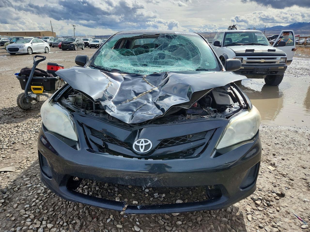 2013 TOYOTA COROLLA