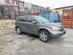 2010 HONDA CR-V