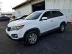 2011 KIA SORENTO