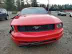 2005 FORD MUSTANG