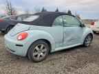 2006 VOLKSWAGEN Beetle