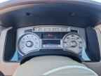 2010 FORD F-150 Lightning