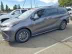 2023 TOYOTA SIENNA