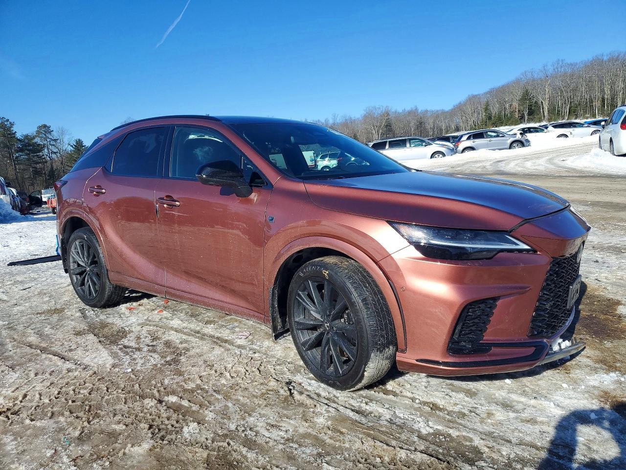 2025 LEXUS RX 500H
