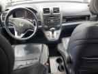 2010 HONDA CR-V