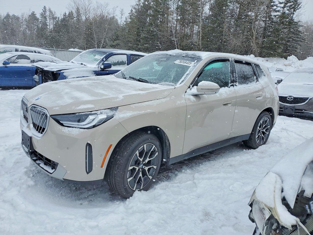 2025 BMW X3