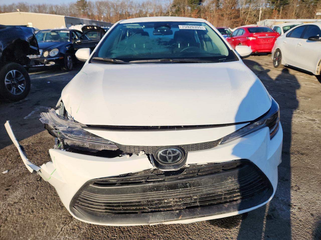 2026 TOYOTA COROLLA
