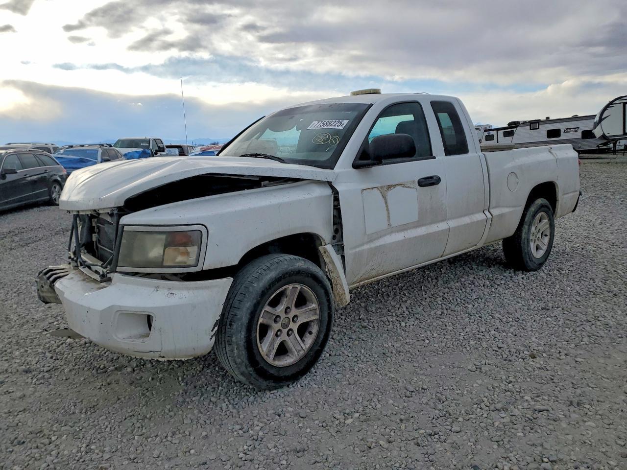 2010 DODGE Dakota