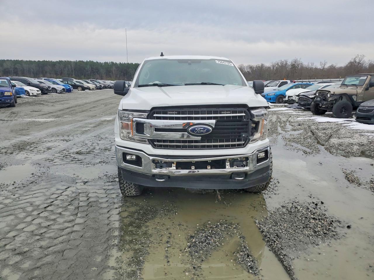 2019 FORD F-150 Lightning