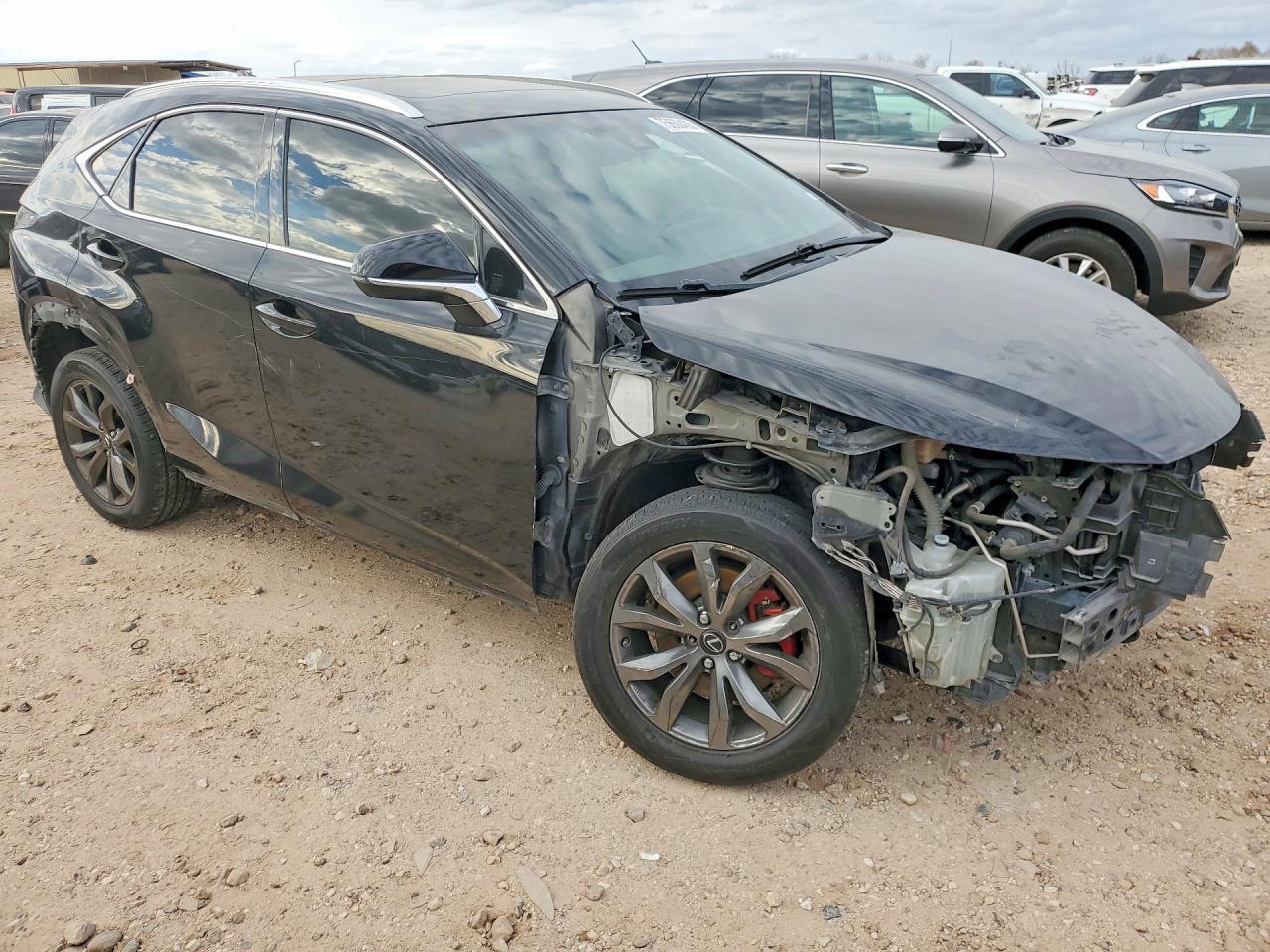 2019 LEXUS NX 300