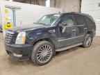 2007 CADILLAC ESCALADE