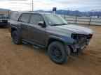 2021 TOYOTA 4Runner