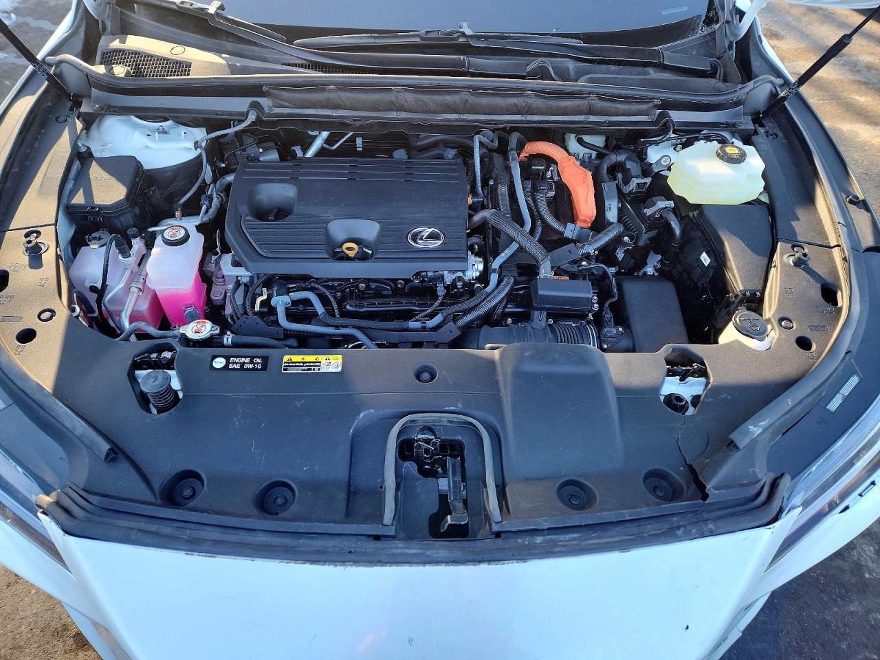 2025 LEXUS RX 350H