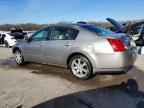 2005 NISSAN Maxima