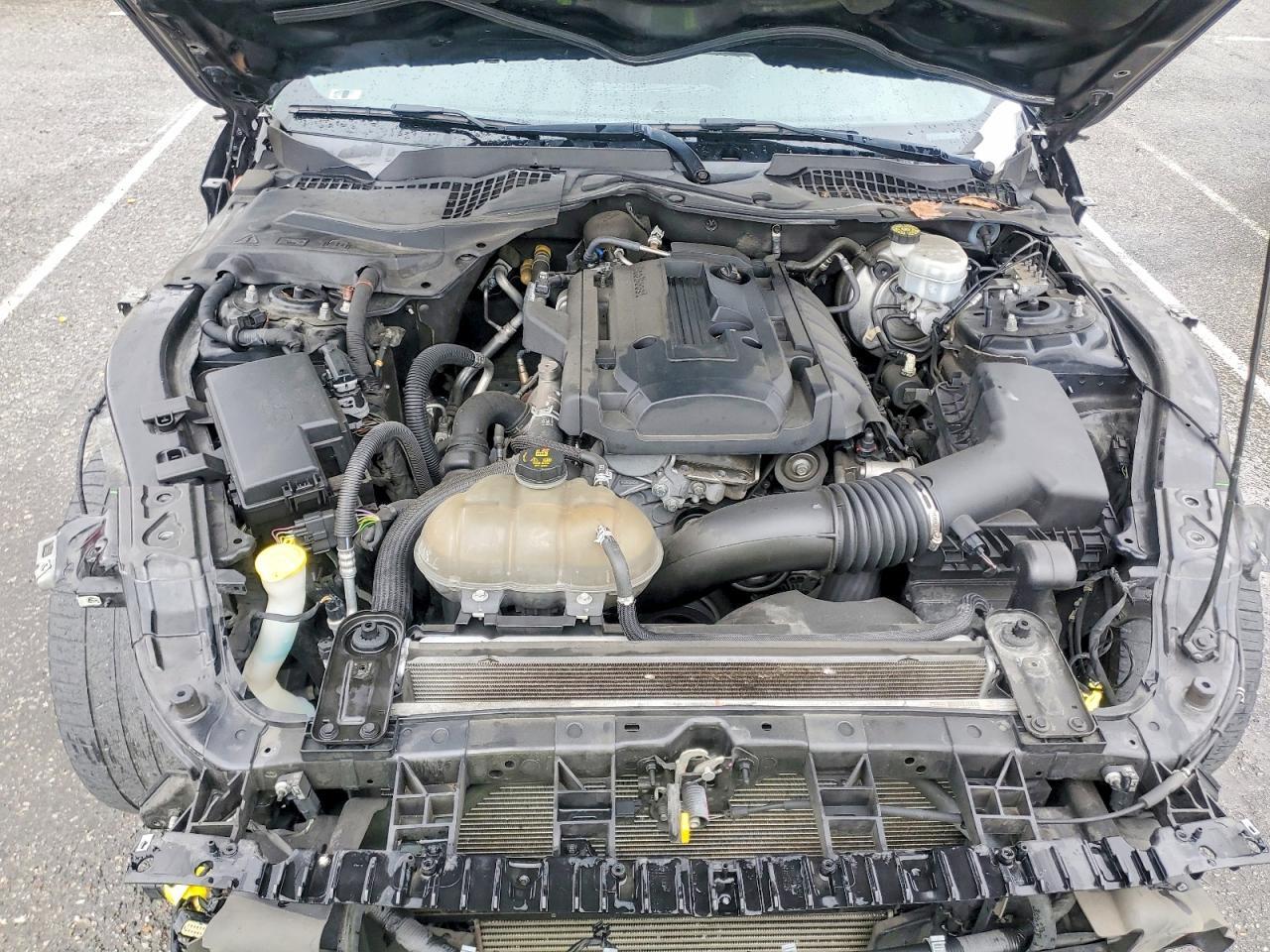 2019 FORD MUSTANG