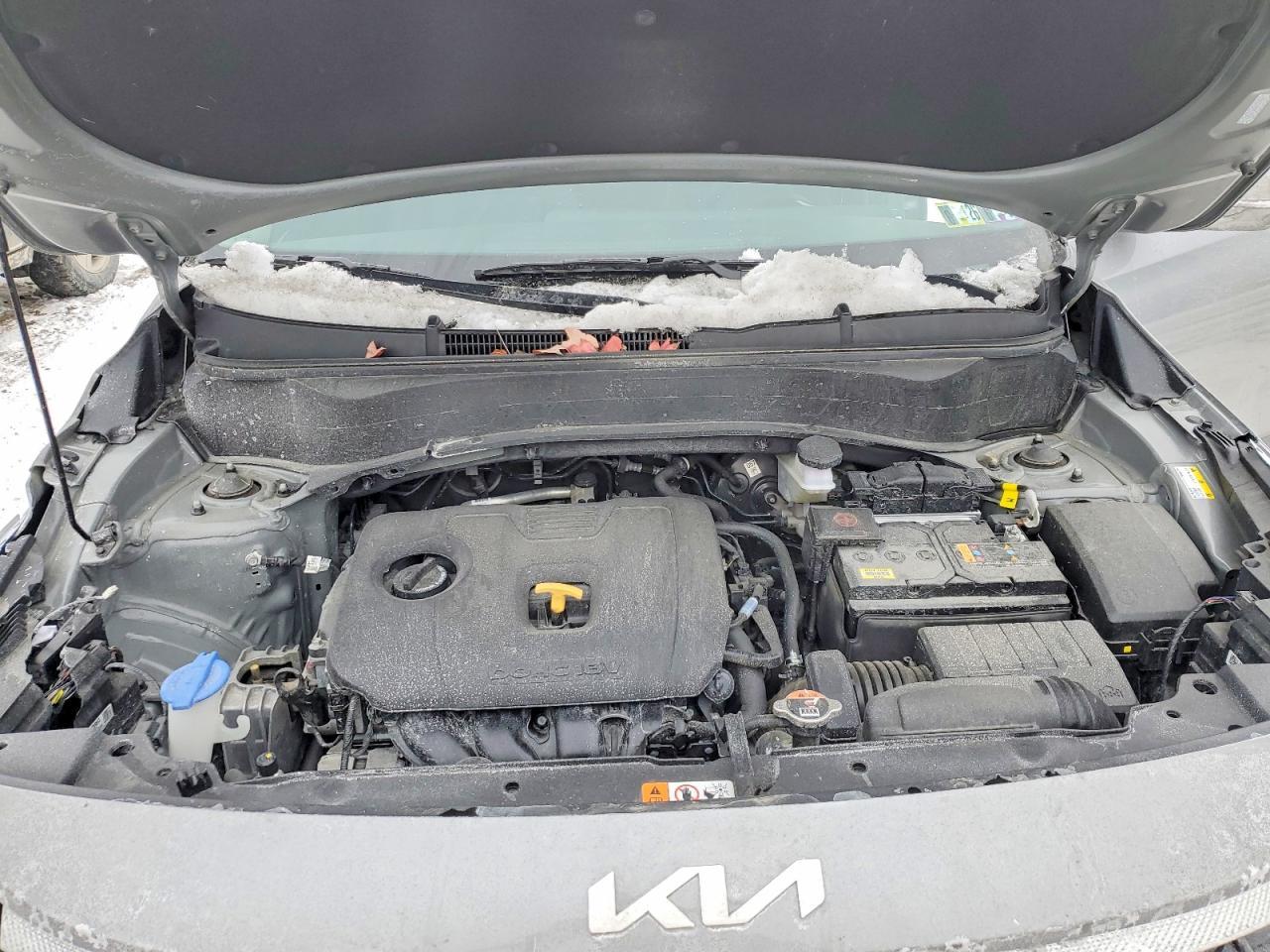 2024 KIA SELTOS