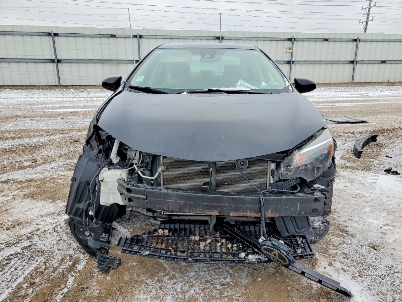 2019 TOYOTA COROLLA