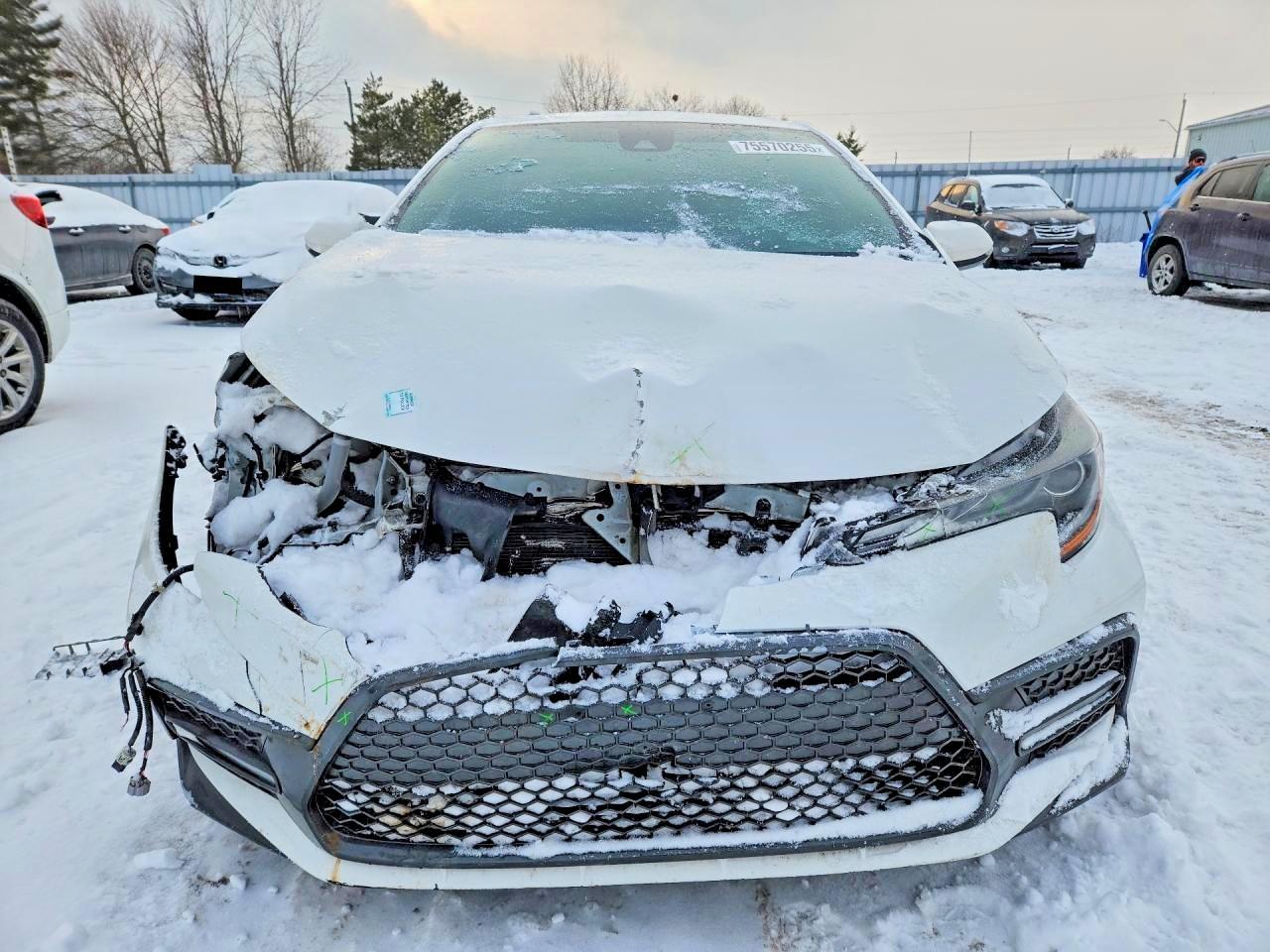 2020 TOYOTA COROLLA