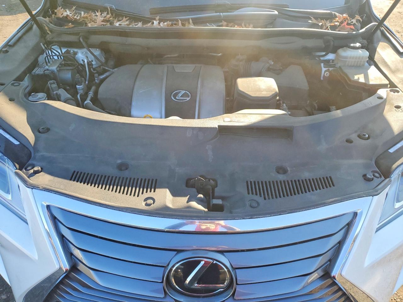 2019 LEXUS RX 350L