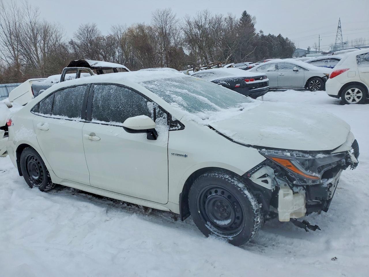2021 TOYOTA COROLLA
