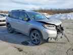 2019 HONDA Passport