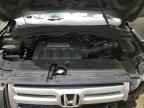 2007 HONDA PILOT