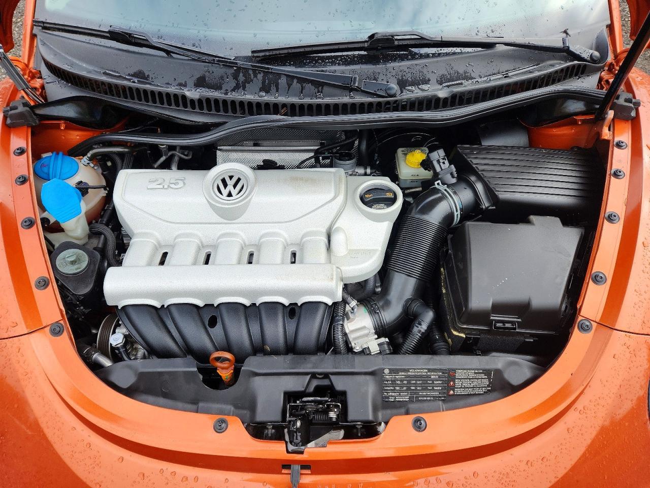 2010 VOLKSWAGEN Beetle