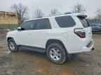 2021 TOYOTA 4Runner