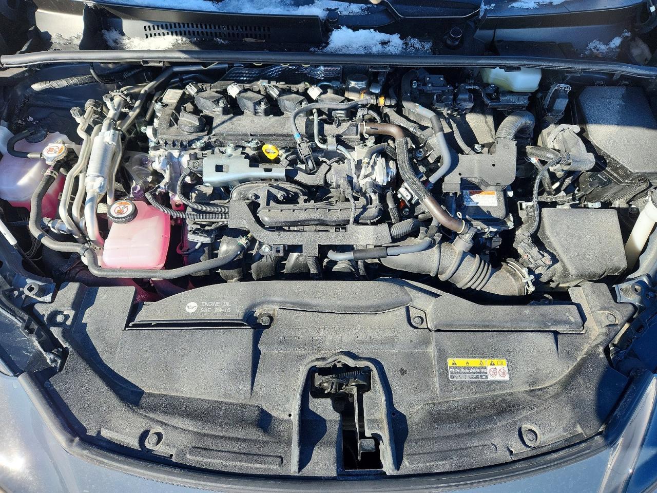 2025 TOYOTA PRIUS