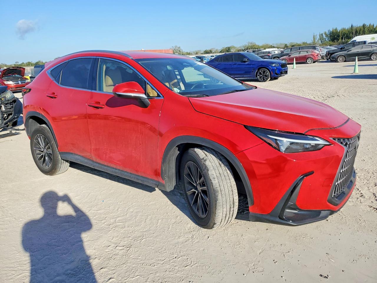 2024 LEXUS NX 250
