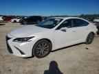 2020 LEXUS ES 350