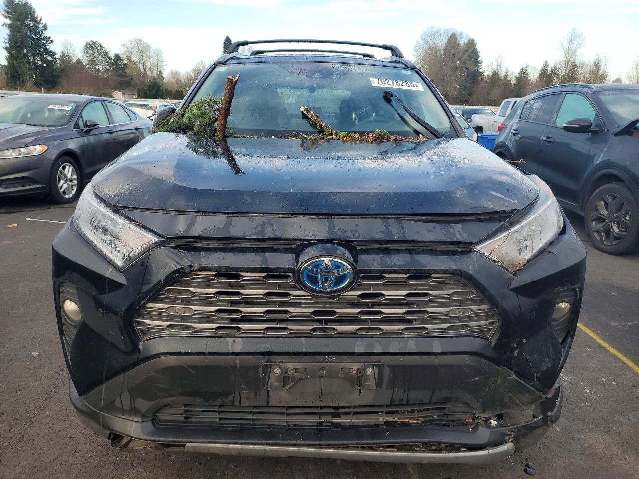 2019 TOYOTA RAV4